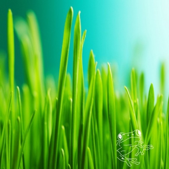 Meet your Posher, Leesett - Picture 1 of 1